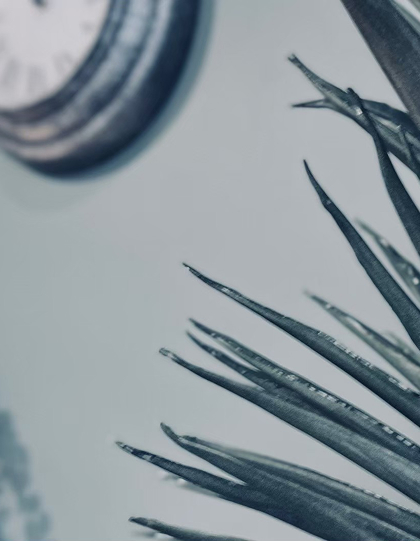 建築・設計・施工のパートナー